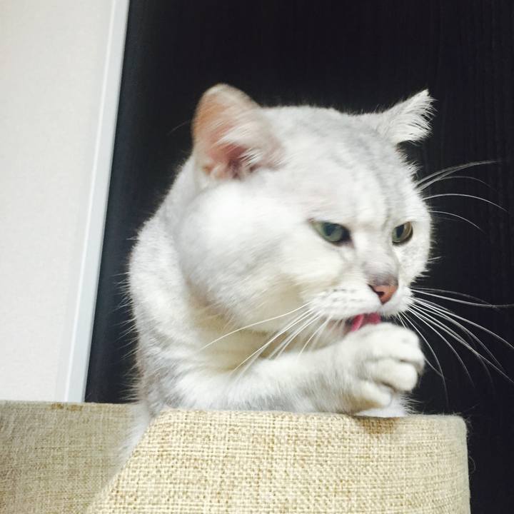 A9ee9c40 fbeb 4d89 8e12 5be3ee7a7ab4