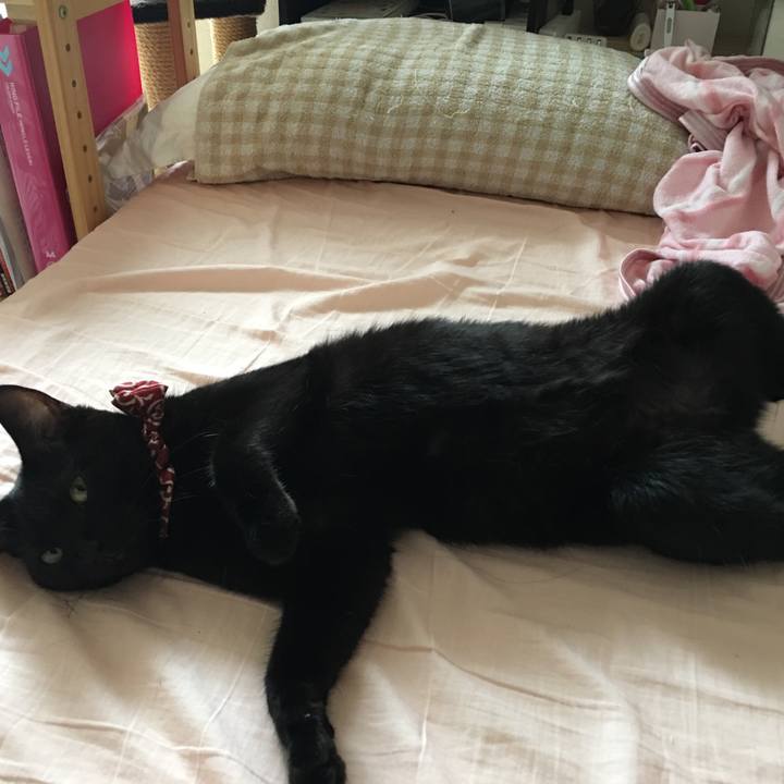 A9eeae76 dc43 4c95 a5f4 c1a1d443ba29