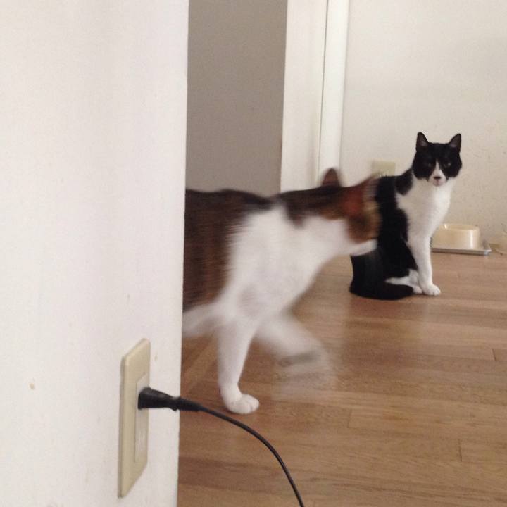 A9ef4f2f 5469 4295 a1c5 152b49b28fcd