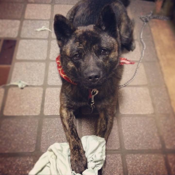 A9efcc99 551e 4af2 9749 2a792ff32329