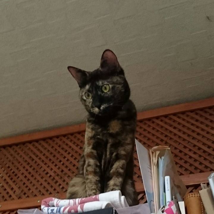 A9f0b063 2950 4eb7 b143 22379e9b56a2