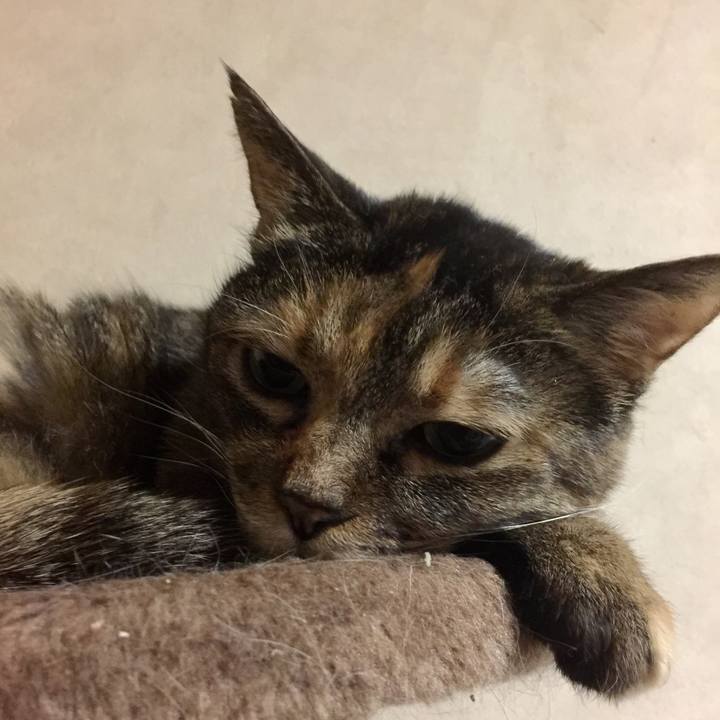 A9f11431 d8b3 44ff ab0d e2b9325fe6b6