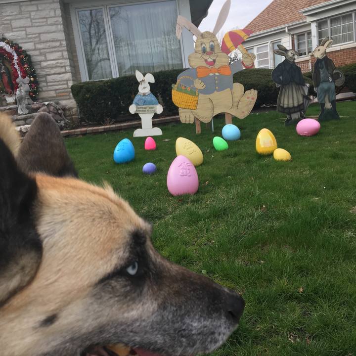 A9f11f4c bcc0 45fb 9900 27d69c893109