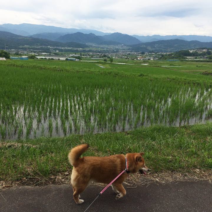 A9f1f792 3dbf 4f77 b2bc b2b59f1f152a