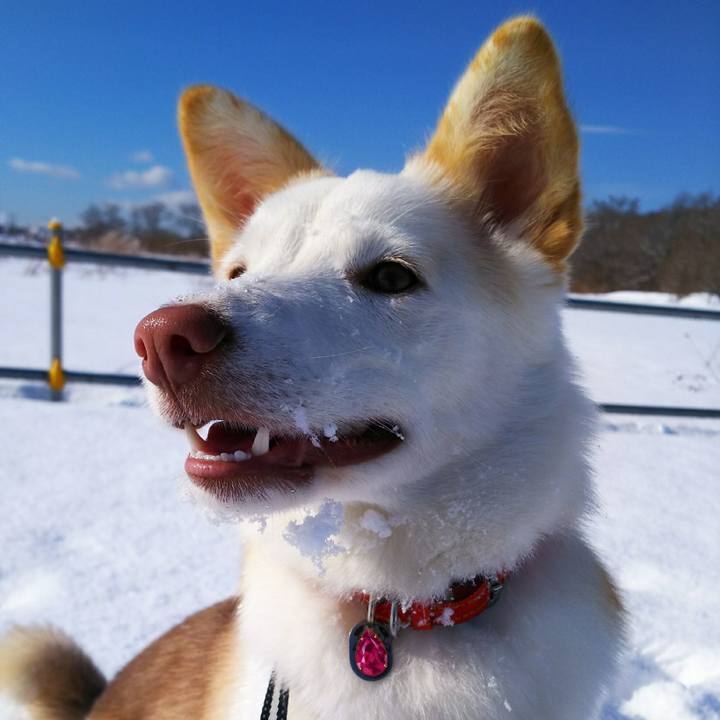 A9f21852 4e62 4f56 84b5 bf71ac240284