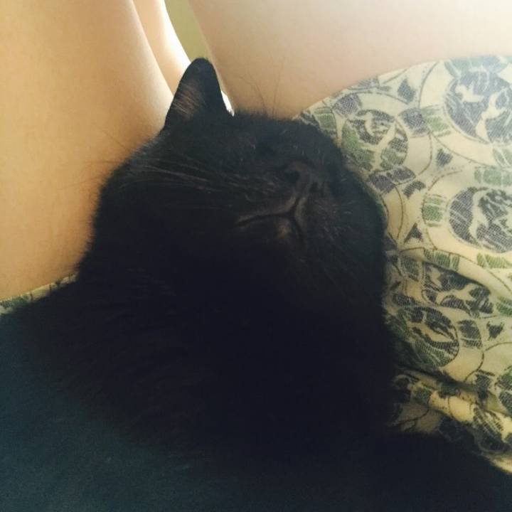 A9f2830f 6b3c 48e9 889a 6a8ba64a4093