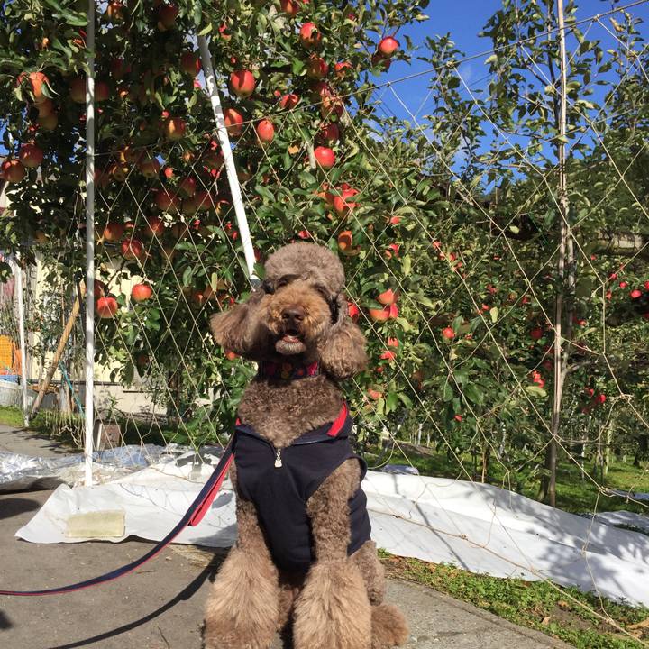 A9f3e2d7 ec34 4b97 9c8c 5d0b3b09a6f7