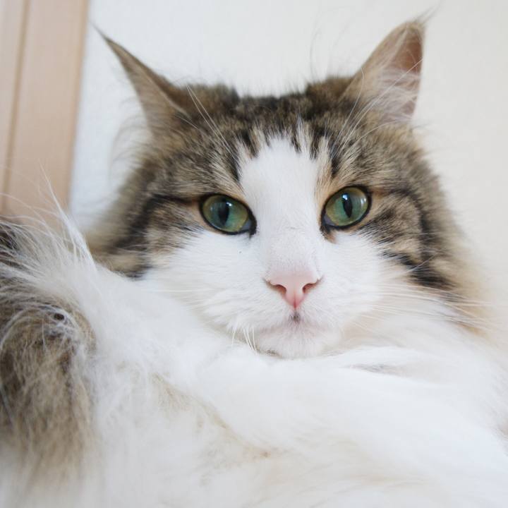 A9f3fb97 127c 4a7e 8df5 7cd2469c3f95