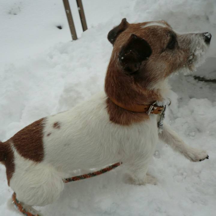 A9f40ab3 0502 4566 9aa0 35f32905a8f2