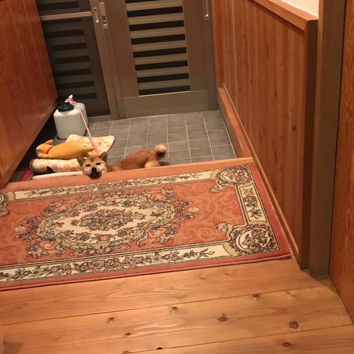 A9f410c3 2b1a 4747 af25 1f91d13df191