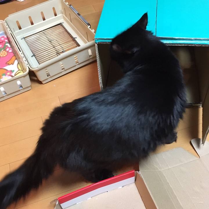 A9f44779 cf7a 457e 88a9 7c6793c91d58