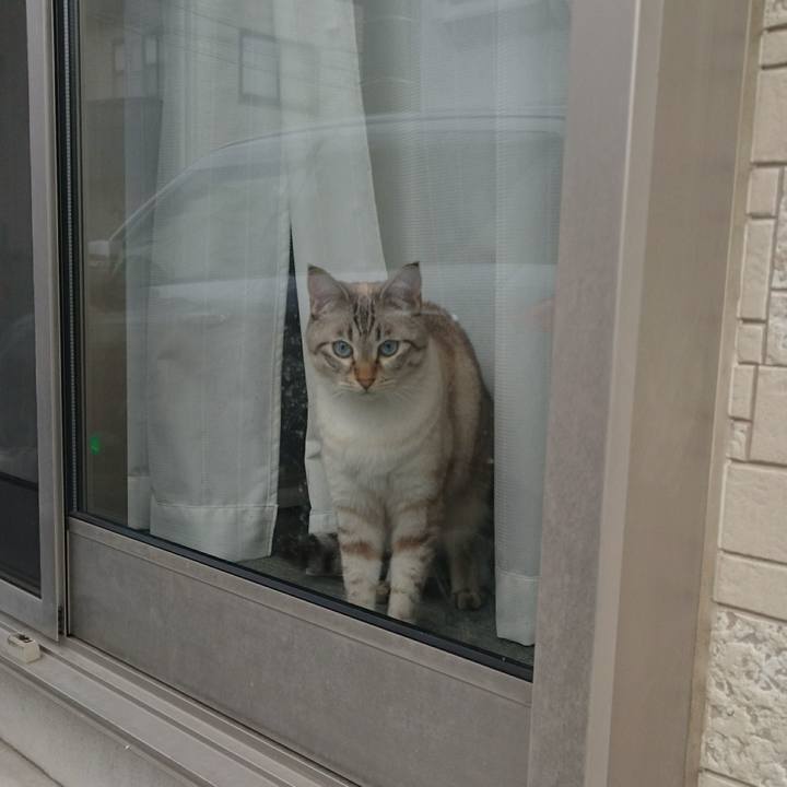 A9f5a691 2aad 4cf4 9744 e54bf42b20a8