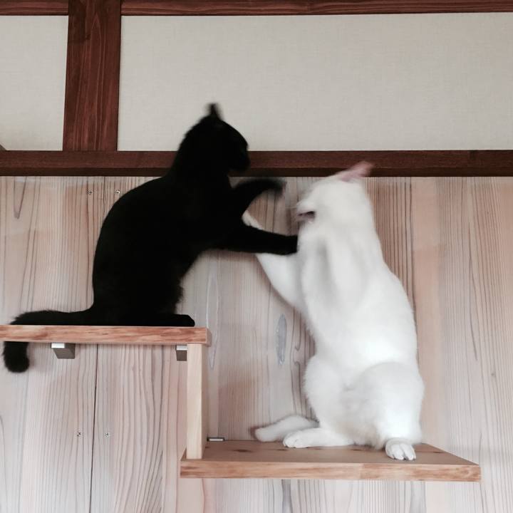 A9f684bc dd72 492c 988f 204f105e5943