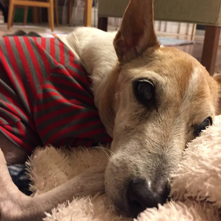 A9f74be7 9037 4608 ac10 6ca07867dc1a