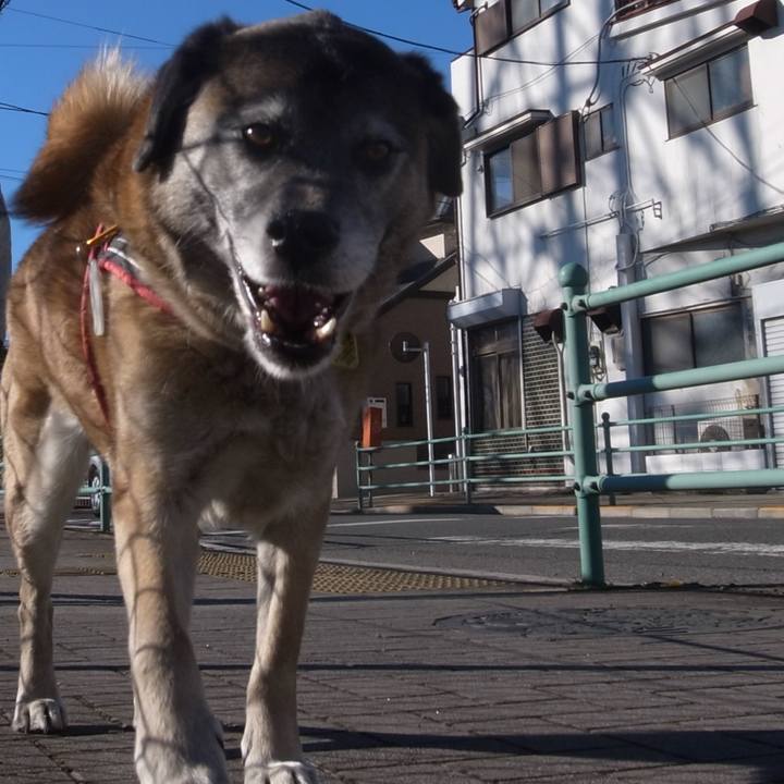 A9f77d24 a559 4c3e b9d2 68f8133147aa