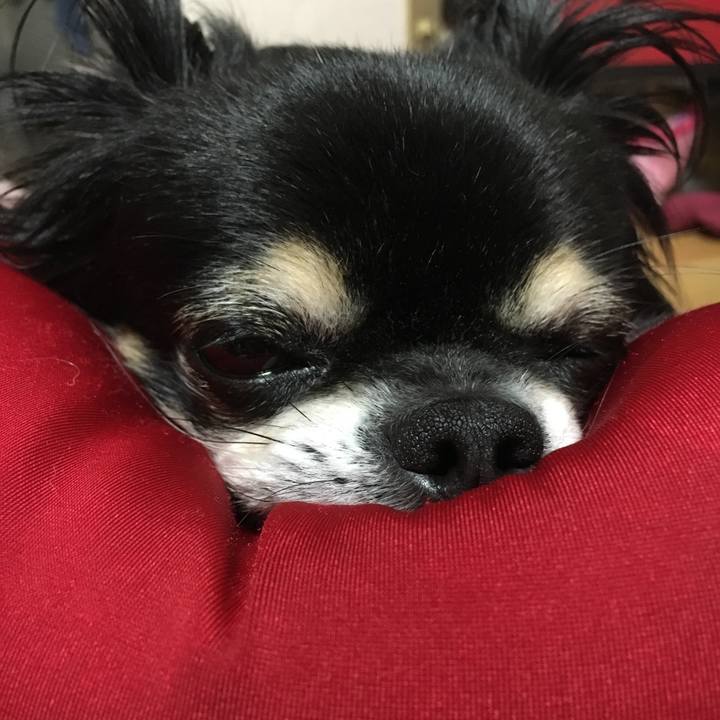 A9f90b1f 64ba 4976 8ae3 d3adb88c7825