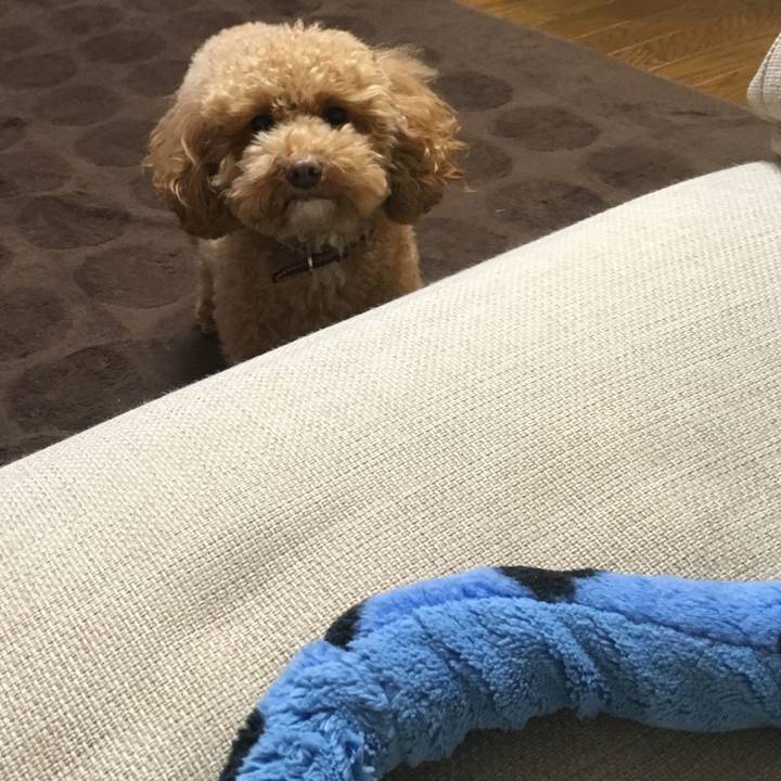 A9f9130b a934 465e ba4d b74b5cec3c8b