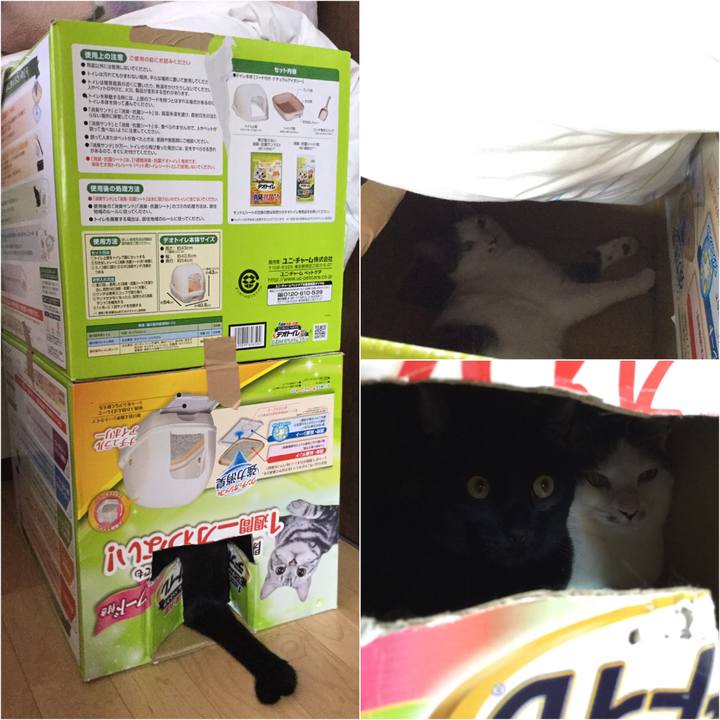 A9fa7766 7889 4f35 a64f 179ffbd64542