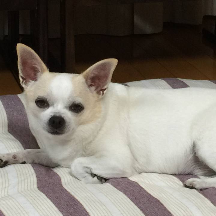 A9fa967c e441 47f0 bc68 86d73ea86752