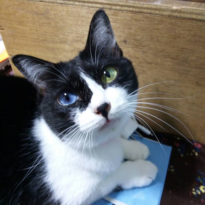 A9faefcf 035c 41d1 8f34 d8fdf6f1e2a3