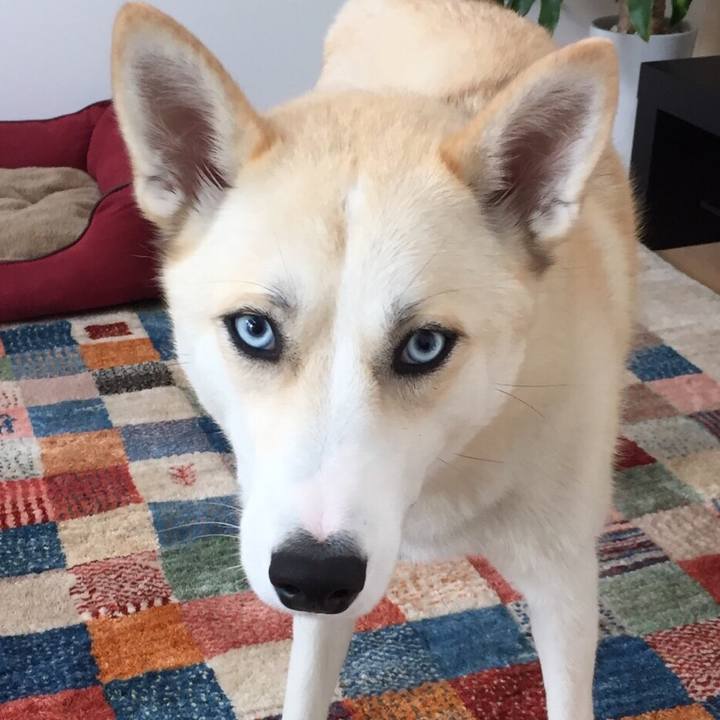 A9fb50a9 60db 4047 9262 712365c40649