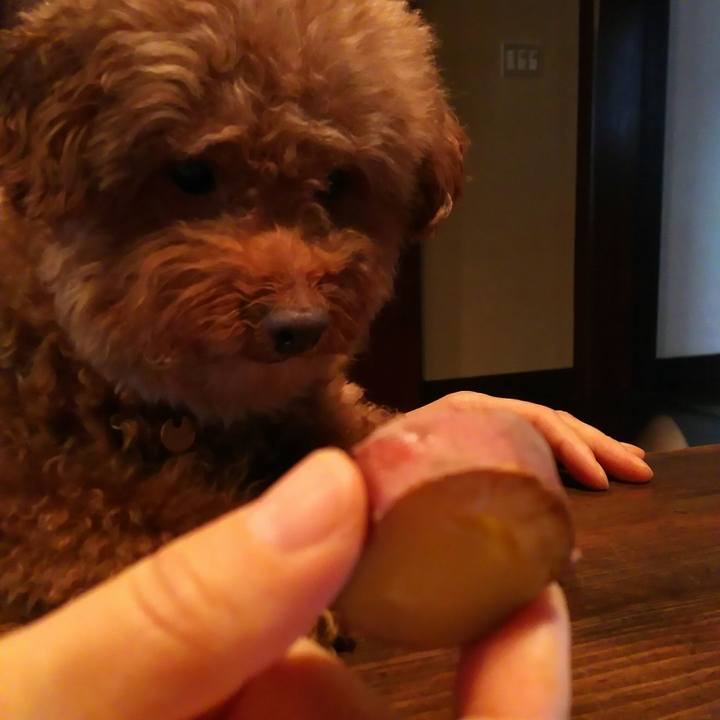 A9fb7a45 baf5 4a63 97b3 978c08f879b6