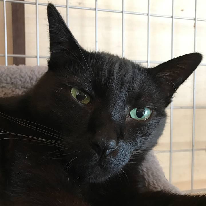 A9fc19ab e09f 4f7c ac34 077ee096b75b