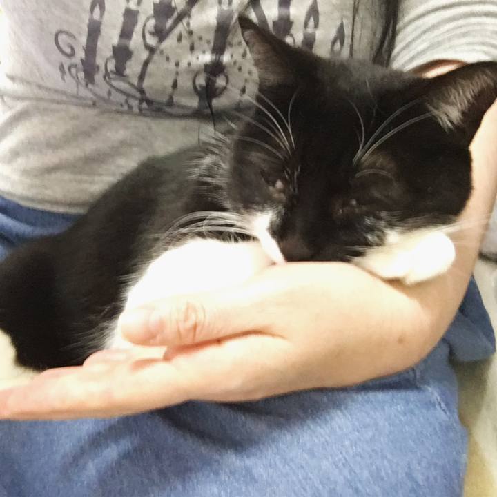 A9fc4da2 b156 498d a9e6 5c5cf0e534a0