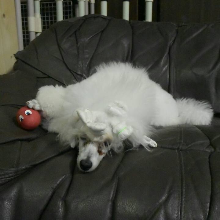 A9fcfaa5 dbc2 460e be25 848d55378a0c