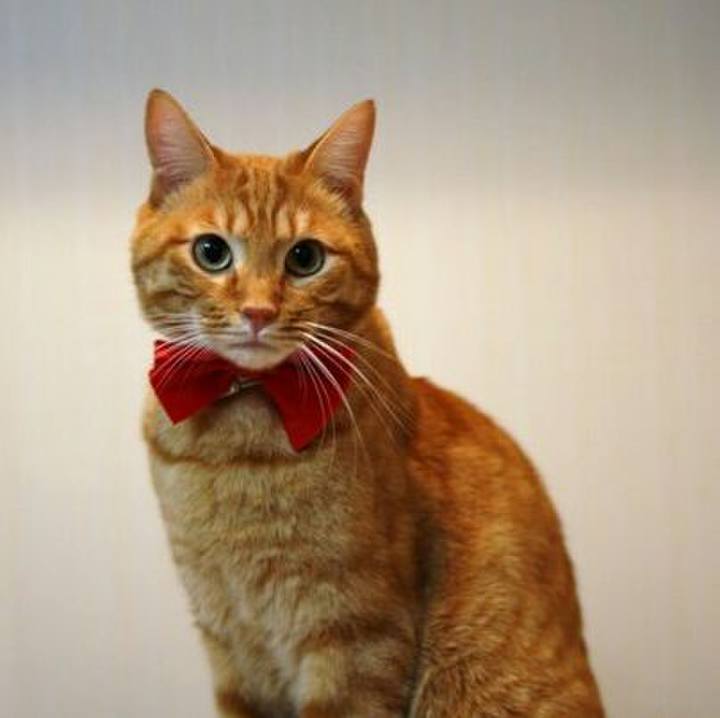 A9fcfef3 75d5 452e be26 e4a63e73f8cb