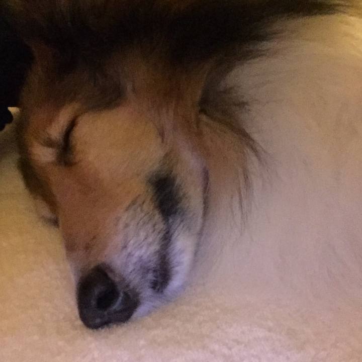 A9fd1548 f9d1 4fc0 b4d3 8aaa15c9f9ef