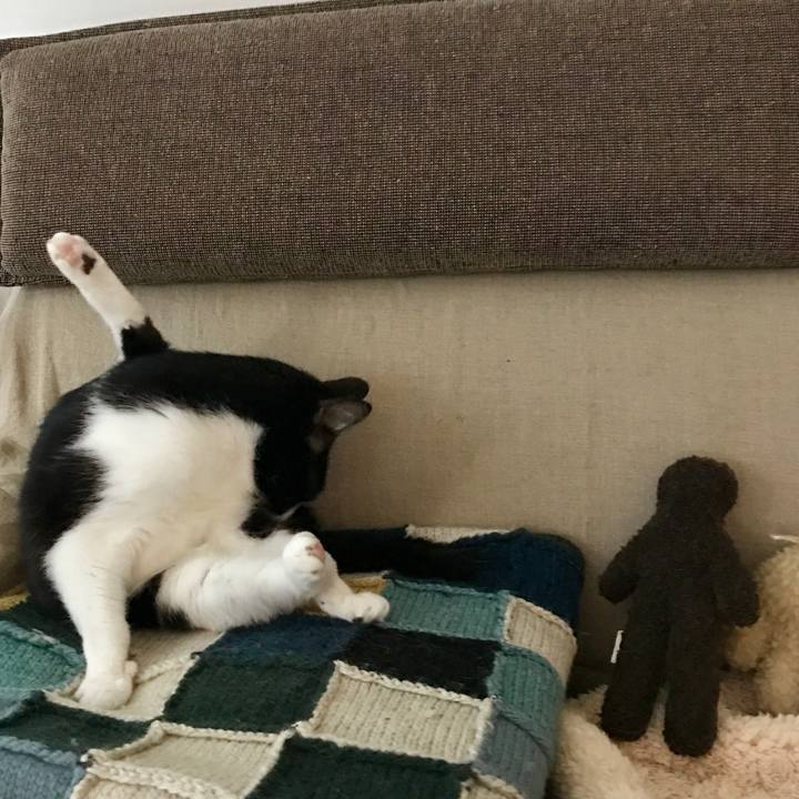 A9fd2c59 ef29 42cd ae29 c04f5bfcb8e9