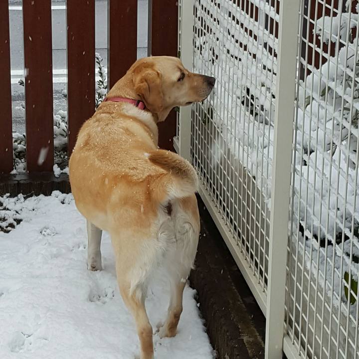 A9fdb391 29a9 4e4d b6d9 b99ac644e895