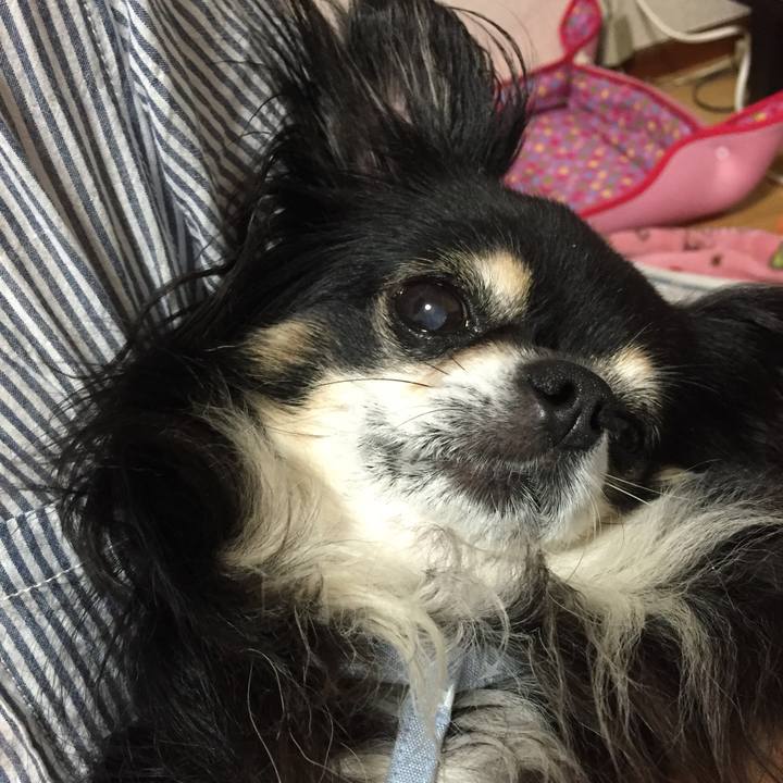 A9fdcd32 c206 49f2 b75c 77c56f7ad141