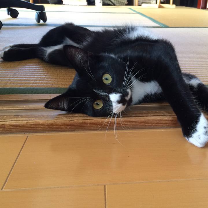 A9fe557e 025a 4aba 8c67 9b2daf17964c