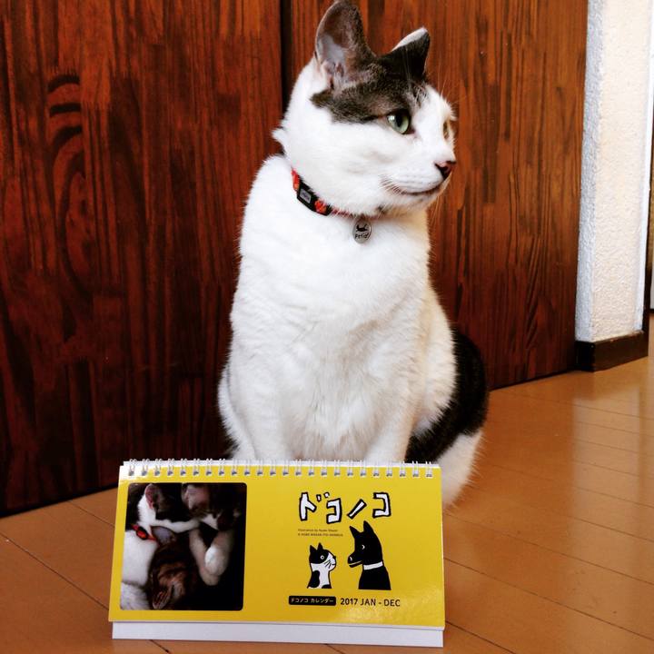 A9fe8cc5 0b11 4d9e 872d 2f6f188b8502