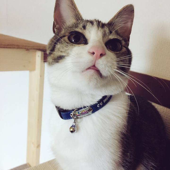 A9fed23f 56a2 4767 8dd9 6beecb6998de