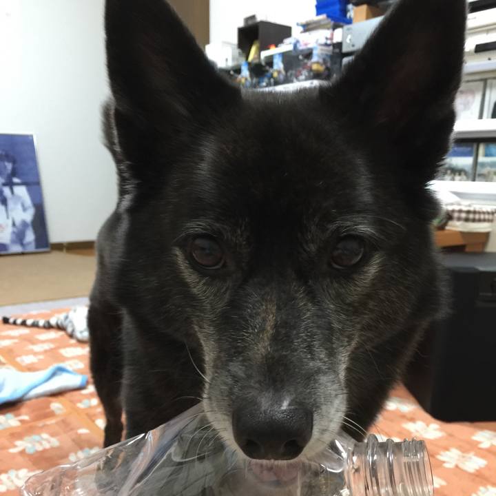 A9ff2408 2b1e 4026 8b86 f3cb25b80a02