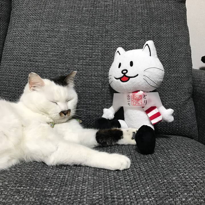 A9ff30bd dda7 4704 ba10 a029b634c839