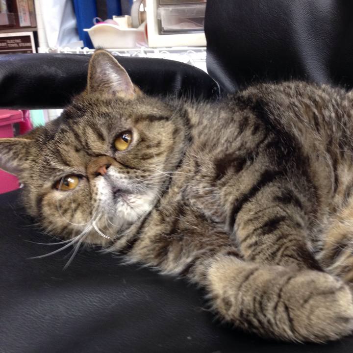 A9ff517e 7fc9 4570 8179 5155ec429534