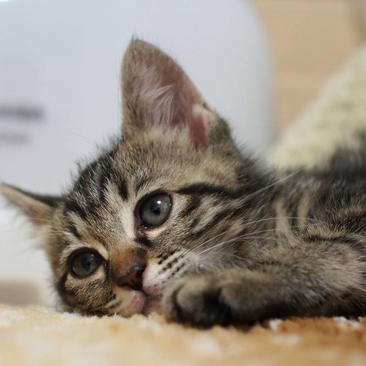 A9ff9760 309d 4e97 a1fe 302ae0162206