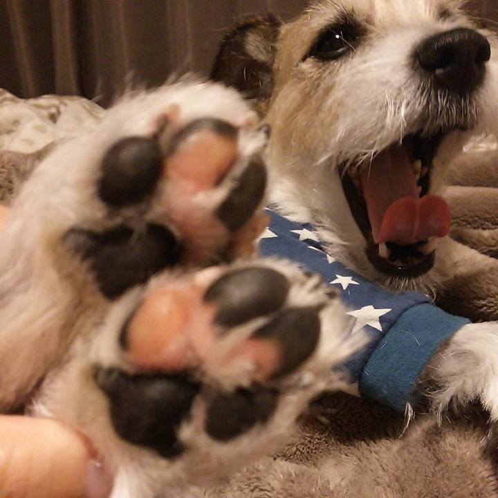 A9ffab31 bad2 4b1f 9f44 609be76d83cc