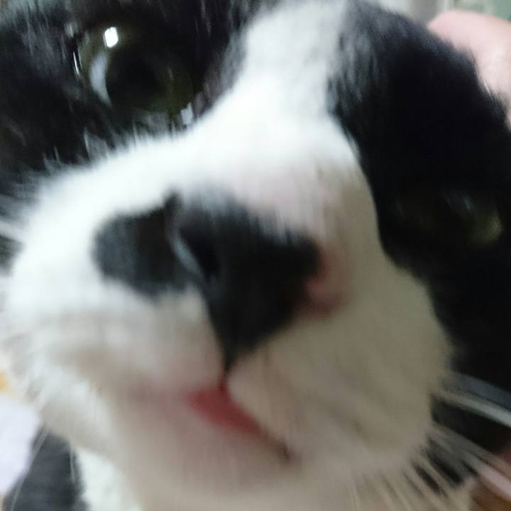 Aa000287 028a 4547 a5f8 d1638a6bf988