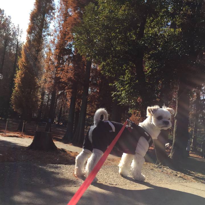 Aa001bad c3d6 4c38 aa3b a65661f82fb5