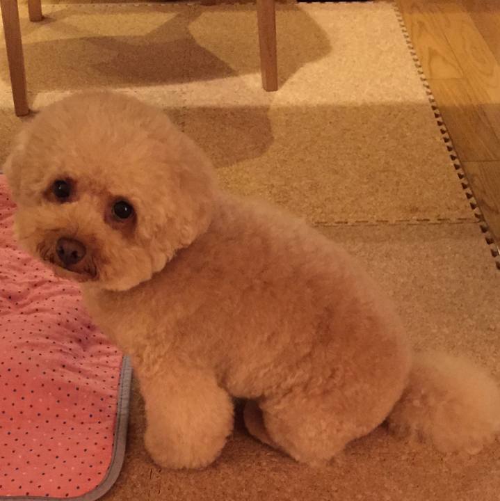 Aa003496 4c18 4016 b588 9412ad311123