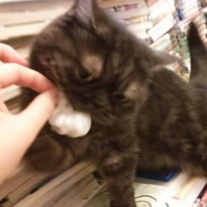 Aa003555 cb83 44a2 93c5 446c6b61c291