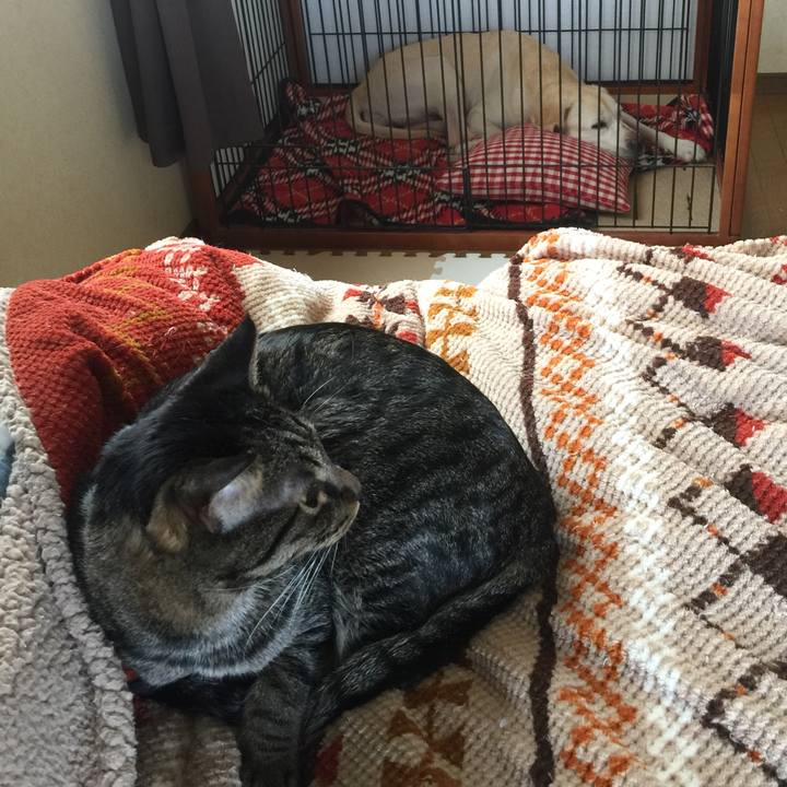 Aa004ae3 753e 4e79 95c5 30ce28276d3d