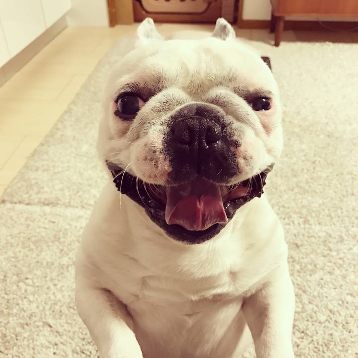 Aa00e856 c655 46a5 bad9 08cc1928ab9b