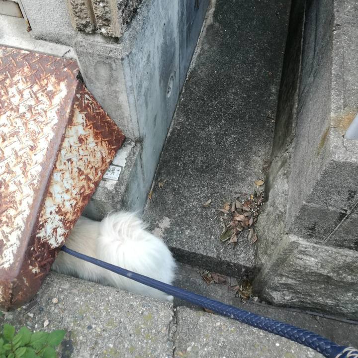 Aa01a921 494b 4beb 9137 d84a91e06f93