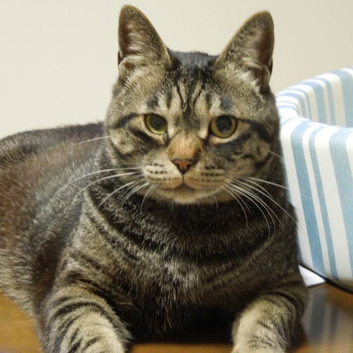 Aa01ec9b b807 4f87 82ab 9e4b75460a62